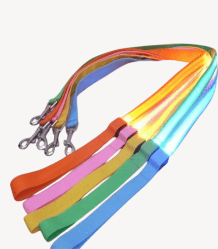 Rechargeable LED Dog Leash